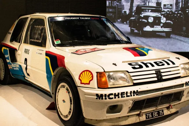 Casino Wild Joker App Android/iOS